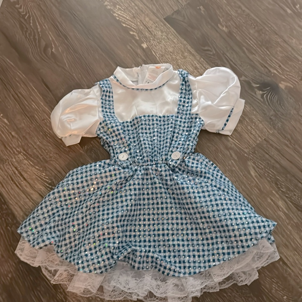 Wizard of oz Dorothy costume